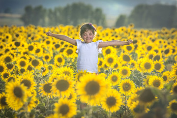 la alegría del girasol