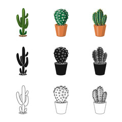 Vector illustration of cactus and pot sign. Collection of cactus and cacti stock symbol for web.