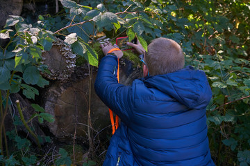 Mann fotografiert mit Handy im Naturschutzgebiet Resser Mark, Gelsenkirchen