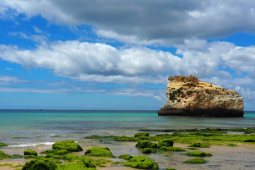 Ocean © sorensen15