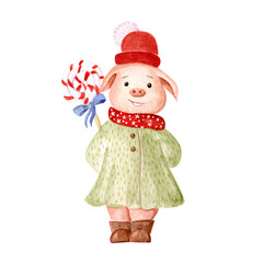 Watercolor Pig with candy on a white background. Watercolor hand drawn illustration.