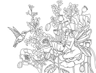 Coloring page The Fairy