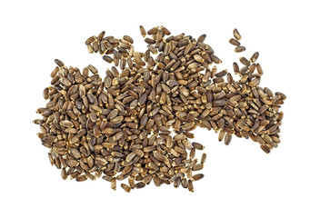 Milk thistle seeds on white background, top view.