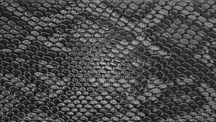 Snake skin texture background © domnitsky