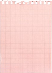 Blank Paper Sheet From Notepad - Isolated
