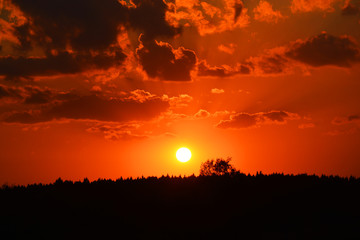 sunset, sky, sun, clouds, orange, nature, sunrise, landscape, evening, cloud, red, beautiful, yellow, trees, tree, dusk, light, night, blue, color, summer, morning