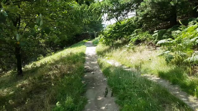 Footage walking down a grassy path towards a stile on a windy day.