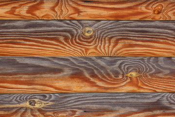 Texture of wooden boards. Background of wooden logs. Natural pattern of pine. Blank for designer in minimalism style