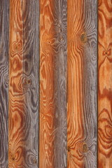 Texture of wooden boards. Background of wooden logs. Natural pattern of pine. Blank for designer in minimalism style