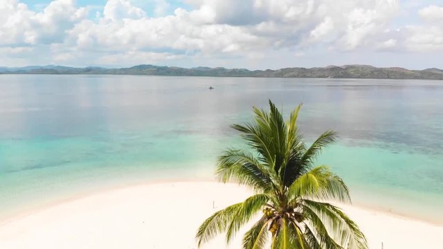 Aerial drone shot over Paraw boats, palm trees, on a tropical, paradise isle, in turquoise sea, at Pass island, in Philippines, Asia