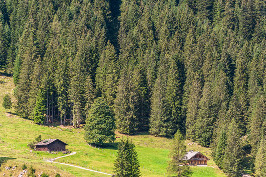 Almh&uuml;tten am Gosausee