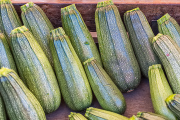 Summer squash - zucchini in public market