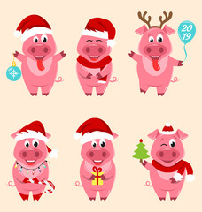 Christmas Cartoon Pigs Portrait in Santa s Hat and with Ball, Balloon, Gift Box