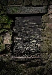 stone and lichen
