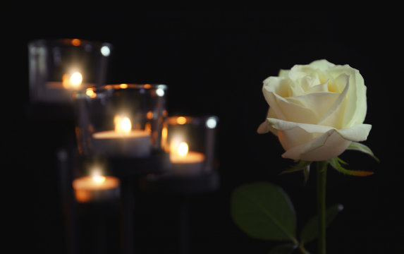 Fototapeta Burning candles and rose flower on dark background. Funeral symbol