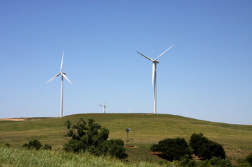 Wind turbines in the field
