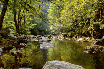 Mountain River in the Rocks