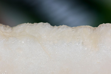 Slice of melon is macro