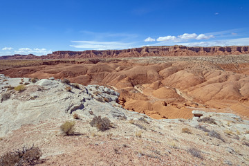 Fototapeta na wymiar High Desert Panorama in the Spring