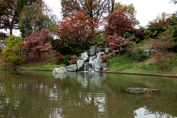 Naklejka premium Autumn in Japanese Garden