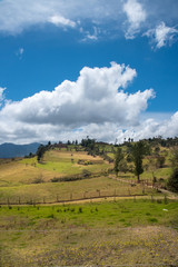 Fototapeta na wymiar Dirt road bordering a landscape in the countryside in the Boyaca region. Colombia