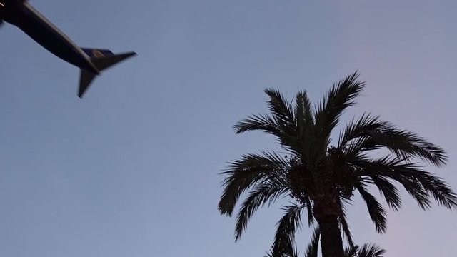 Ryanair aircraft landing at the Alicante airport. Passing close over a palmtree at sunset time.
