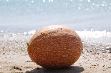 melon on the beach