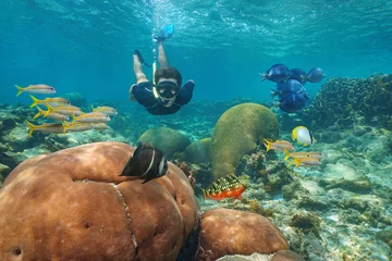 Fototapeten Man snorkeling underwater in a coral reef with colorful tropical fishes, Caribbean sea © dam