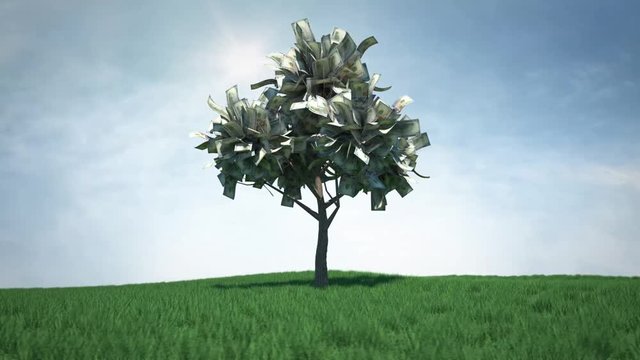 Money tree animation