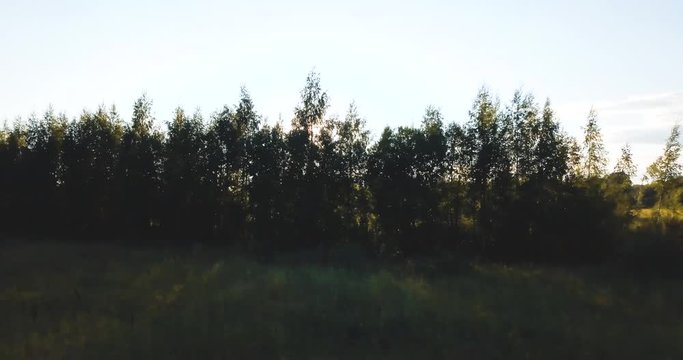 Aerial drone view of forest from the sky, above trees. Russian landscape with pines and fir, sunny day in wild nature. gloomy evening.