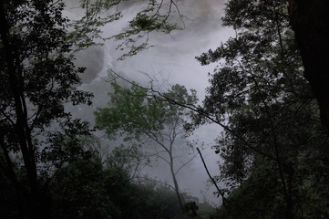 more trees near an impetuous cascade of water, the image is suggestive but also scary