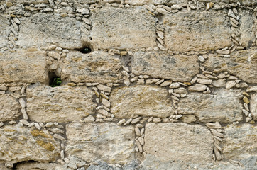Stone wall, small stones forming square bricks.