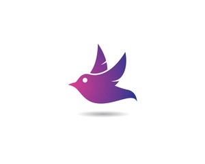 Hummingbird logo template vector icon illustration design