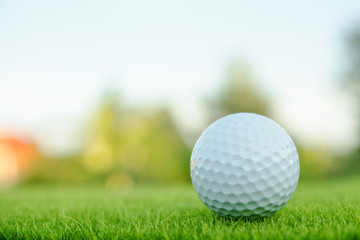 Golf ball on green grass ready to play at golf course. with copy space