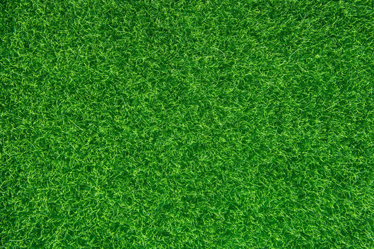 Free Grass Images – Browse 26,222 Free Stock Photos, Vectors, and Video ...