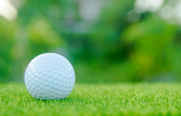 Golf ball on green grass ready to play at golf course. with copy space