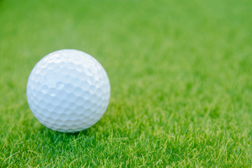Golf ball on green grass ready to play at golf course. with copy space