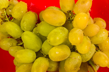 large brush of green grapes in a red ceramic plate on a wooden background
