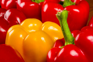 colorful mix of the freshest red and yellow paprika, bell pepper