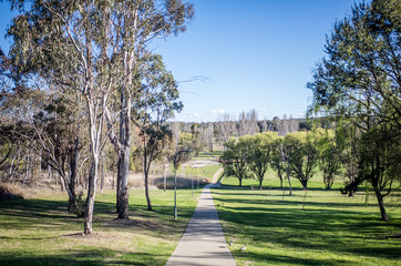 path and trees in the park