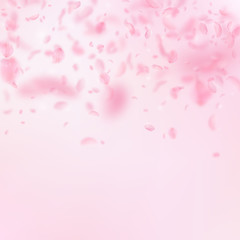 Sakura petals falling down. Romantic pink flowers gradient. Flying petals on pink square background.