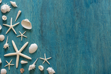 Sea Shell decoration on wooden blue flat background. Free space for your text or product.8
