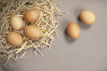 Brown or yellow Fresh farm eggs on straw, eggs background
