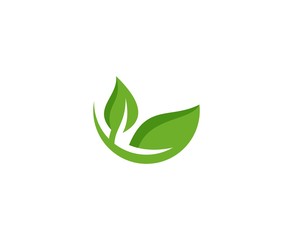 Leaf logo