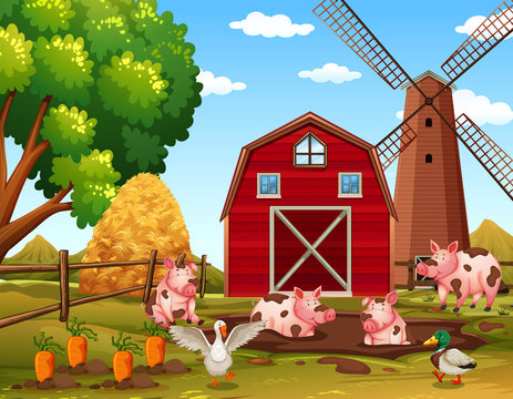 Happy rural farm animals