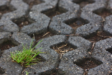 street texture zoom view