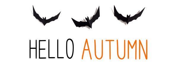 Hello Autumn message with paper bats overhead view on a solid color