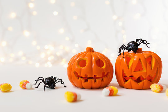 Halloween pumpkins with spider on a shiny light background