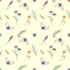 Wild flowers background