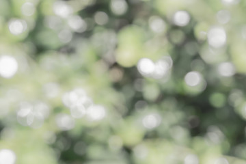 Bokeh color on green floor with white
